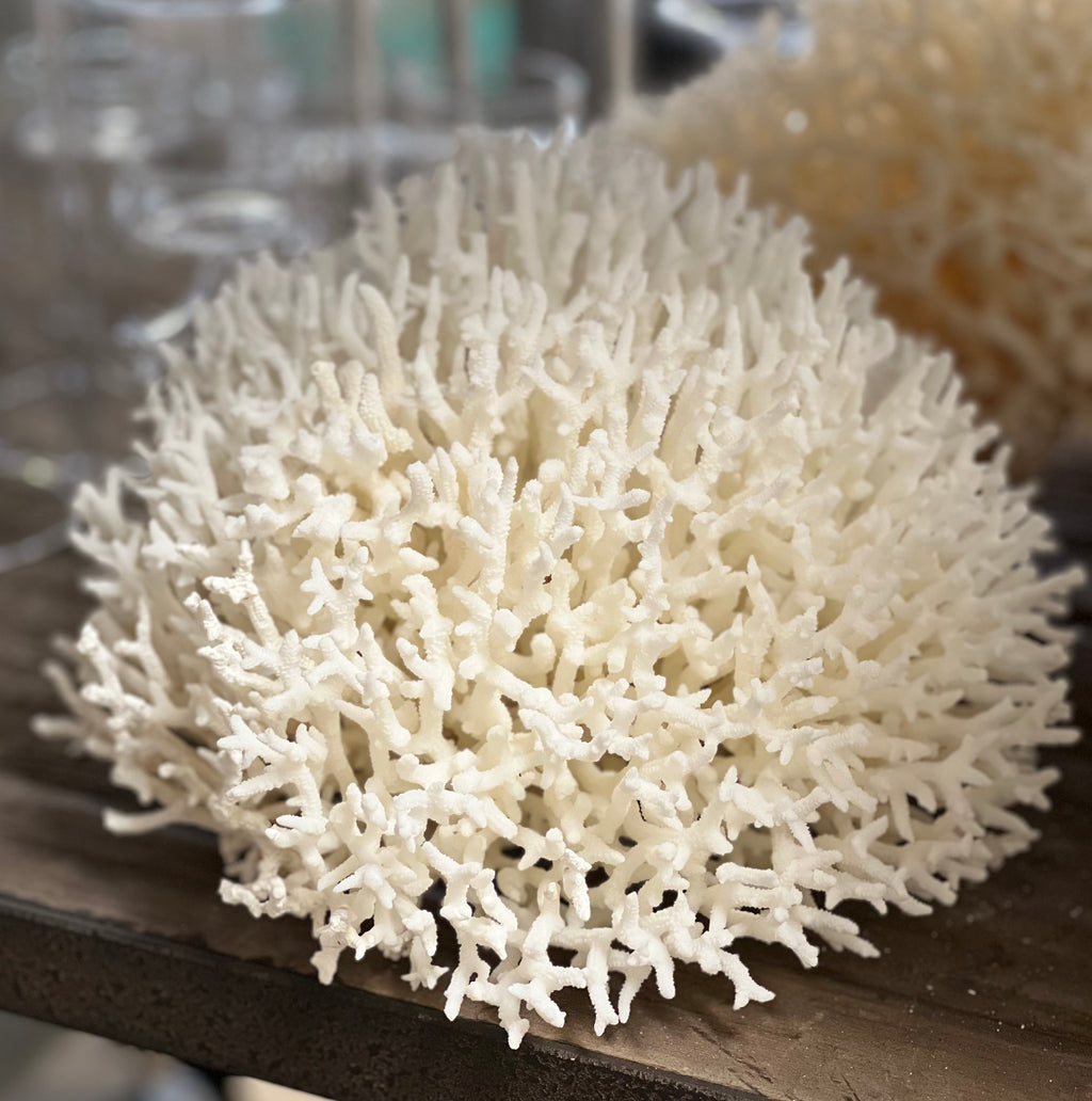 Finger Style Coral - 2 sizes
