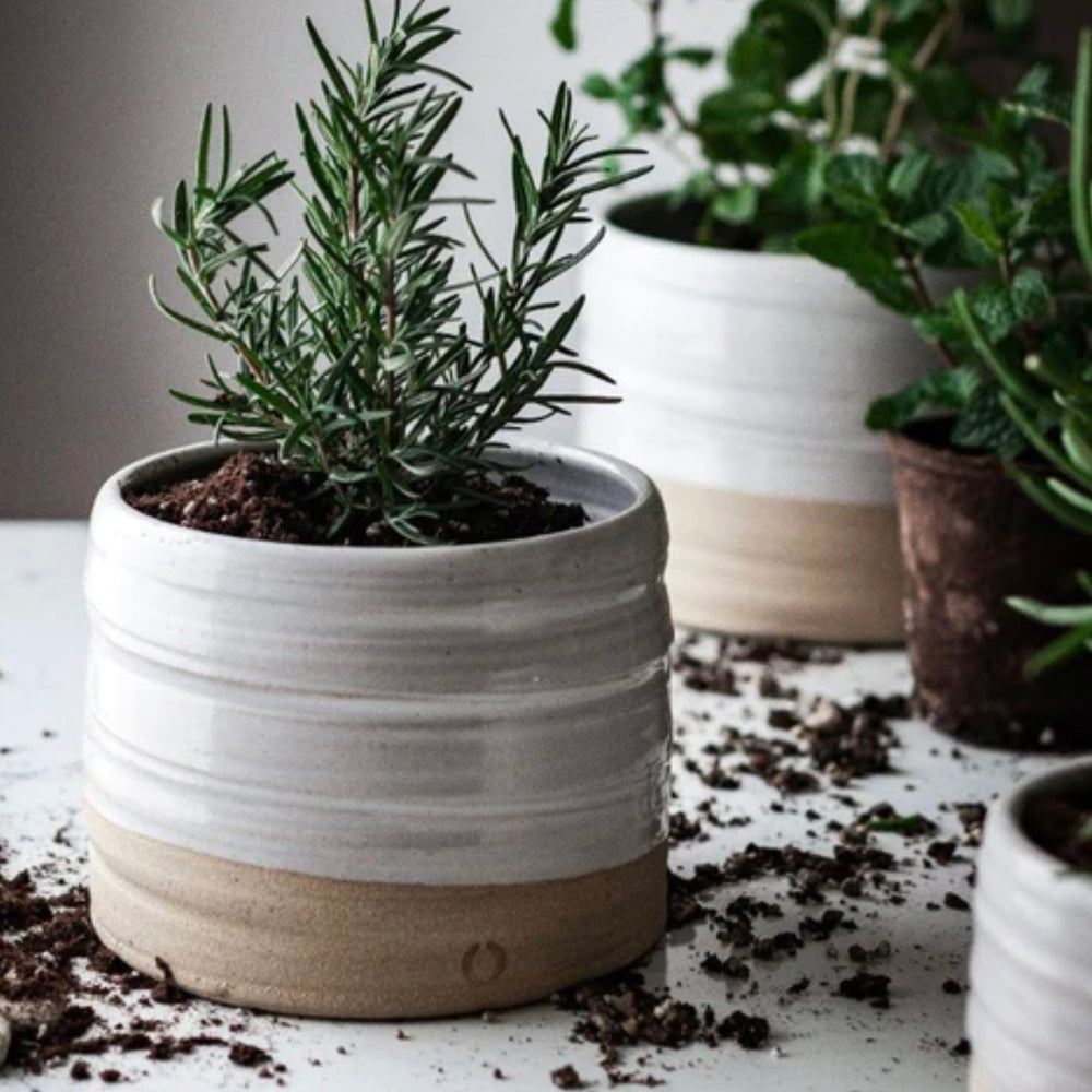 Farmhouse Pottery Trunk Garden Pots