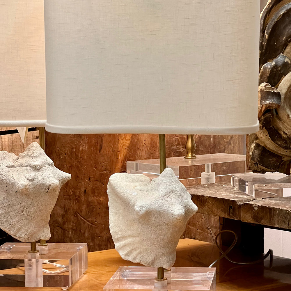 Patricia Conch Shell Table Lamp