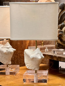 Patricia Conch Shell Table Lamp