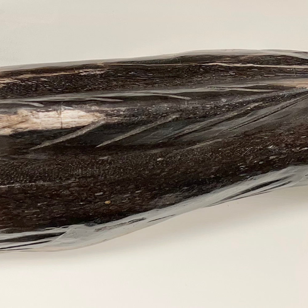 
                      
                        Petrified Wood Koi
                      
                    
