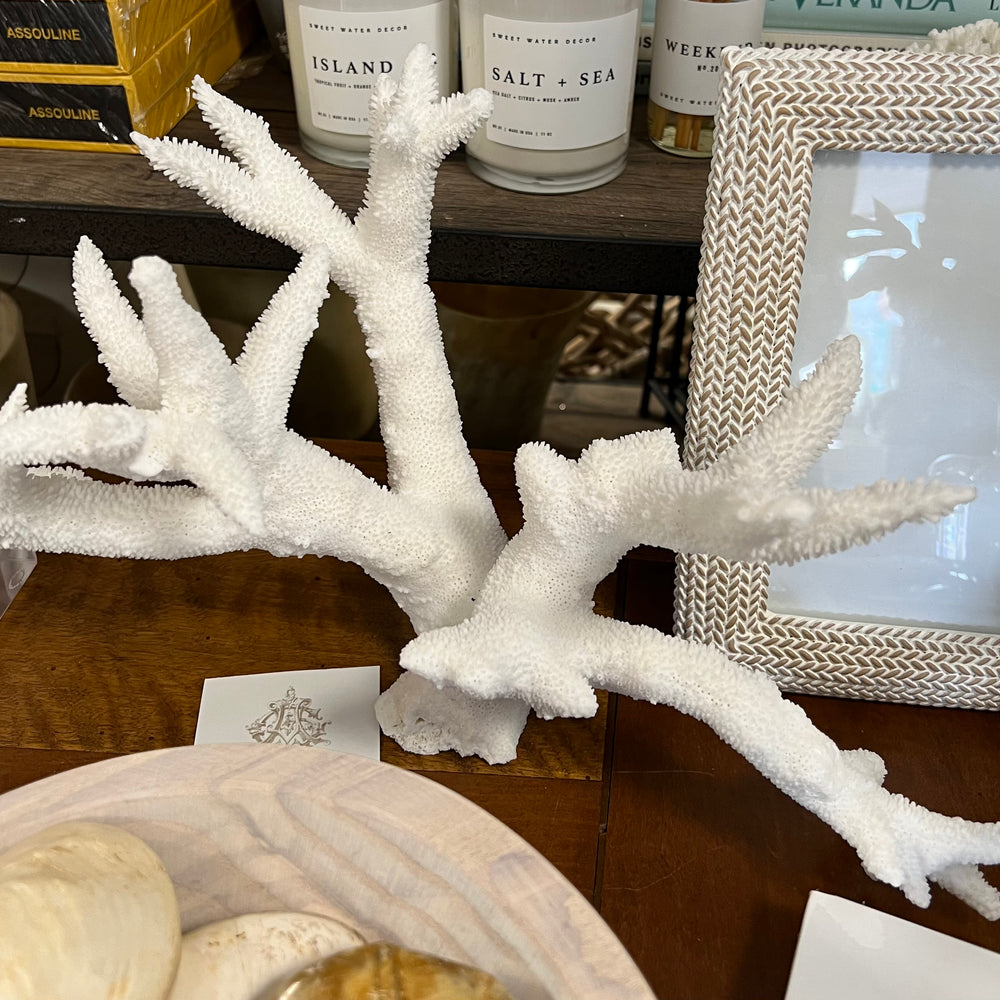 Coral - Branch Style