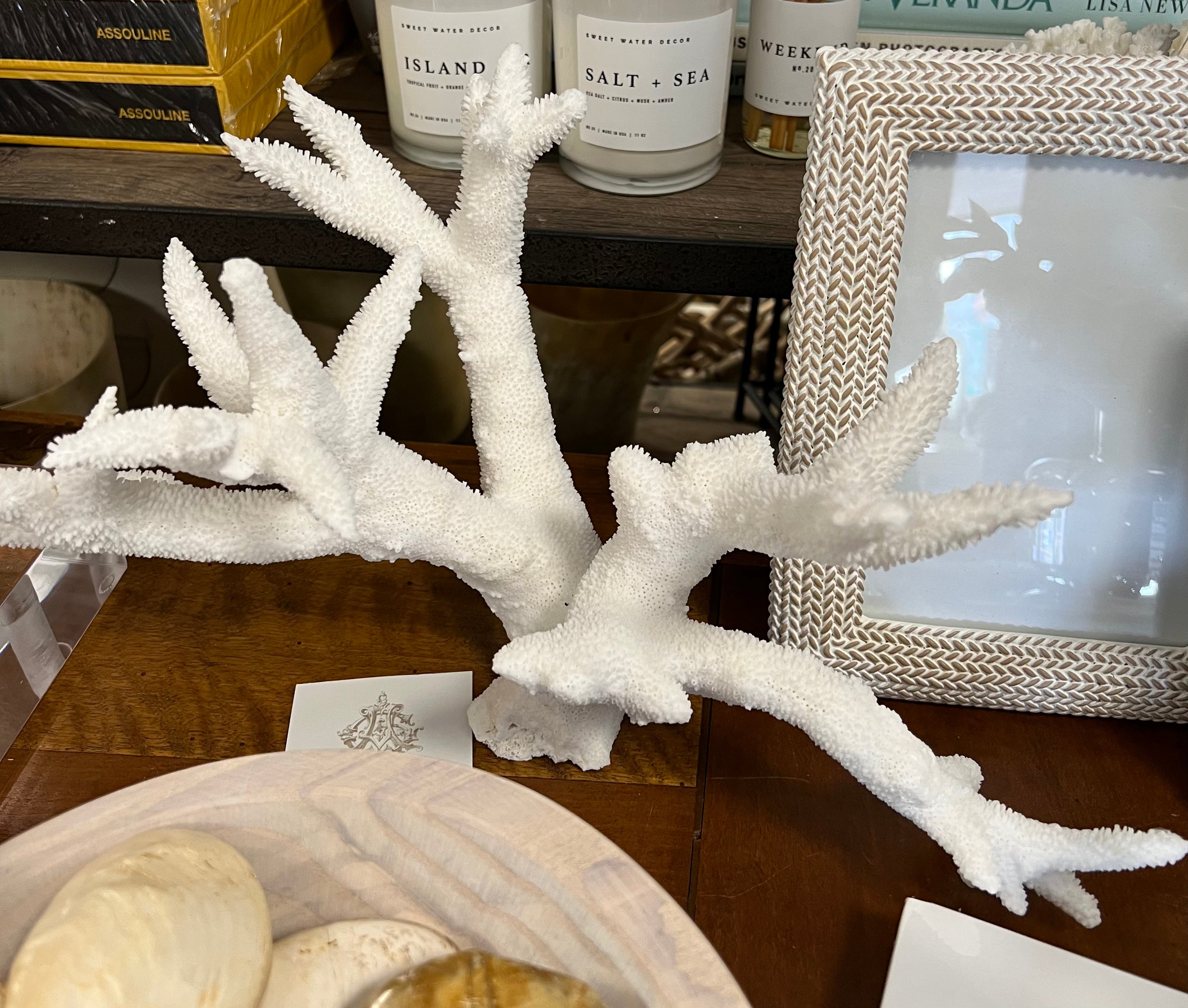 Coral - Branch Style