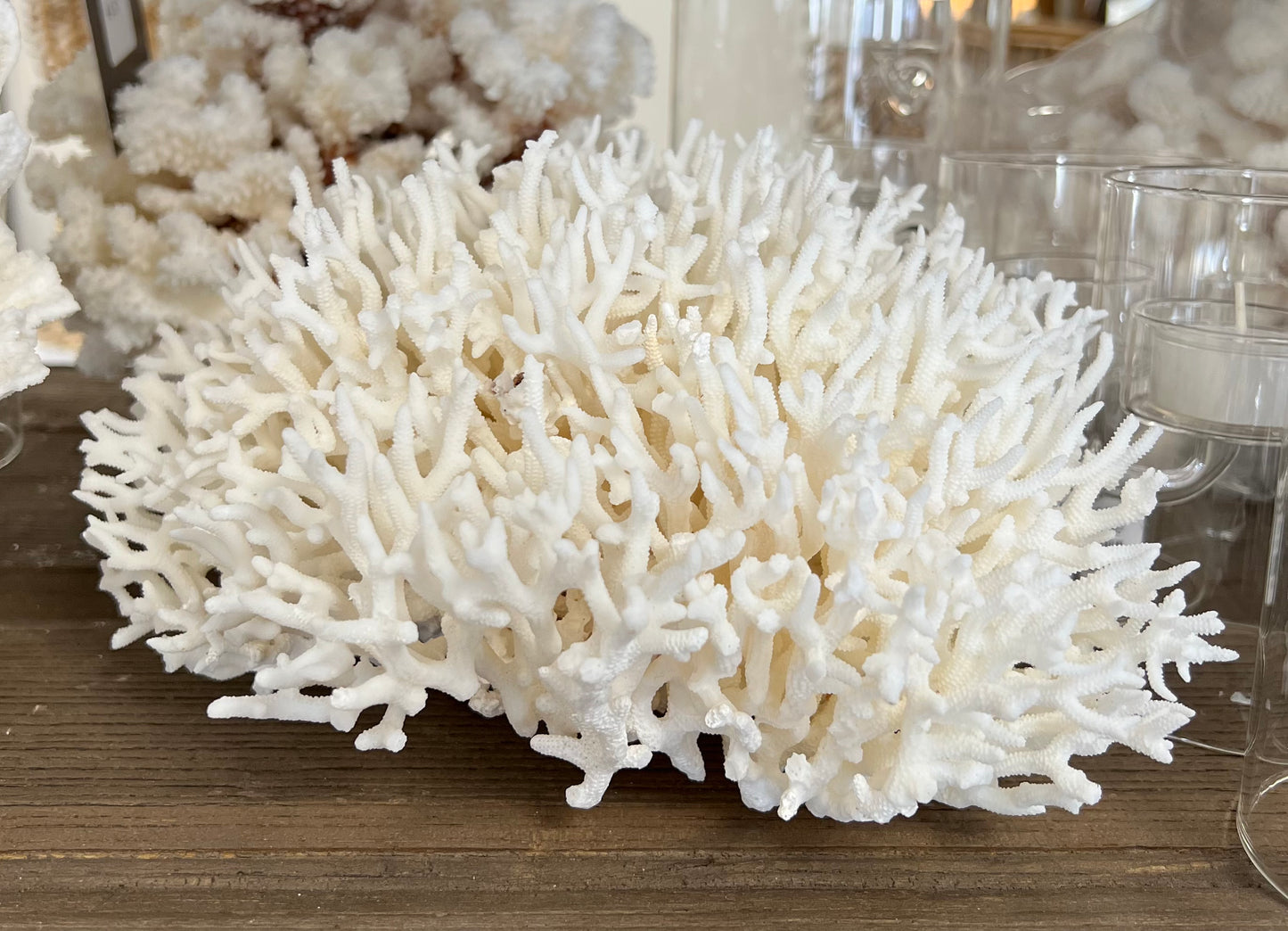 Finger Style Coral - 2 sizes