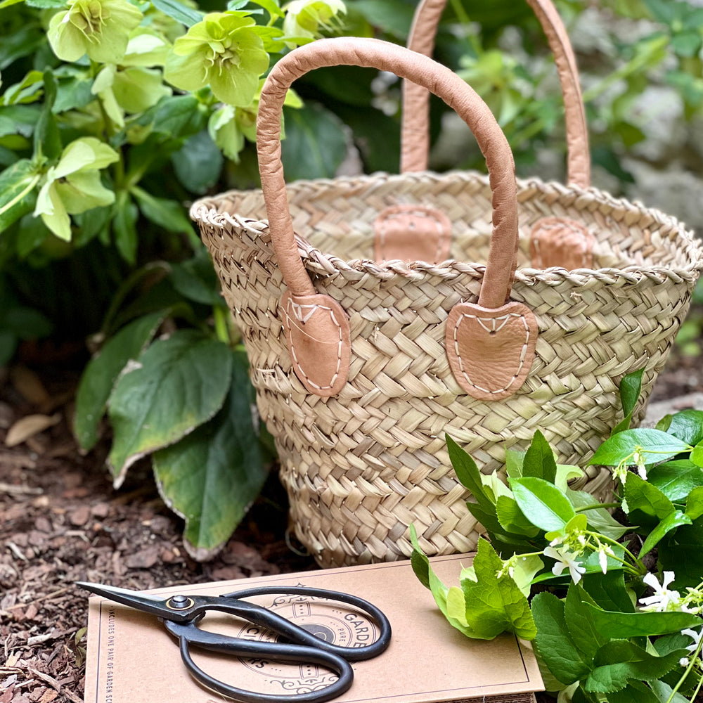 
                      
                        Garden Scissors
                      
                    