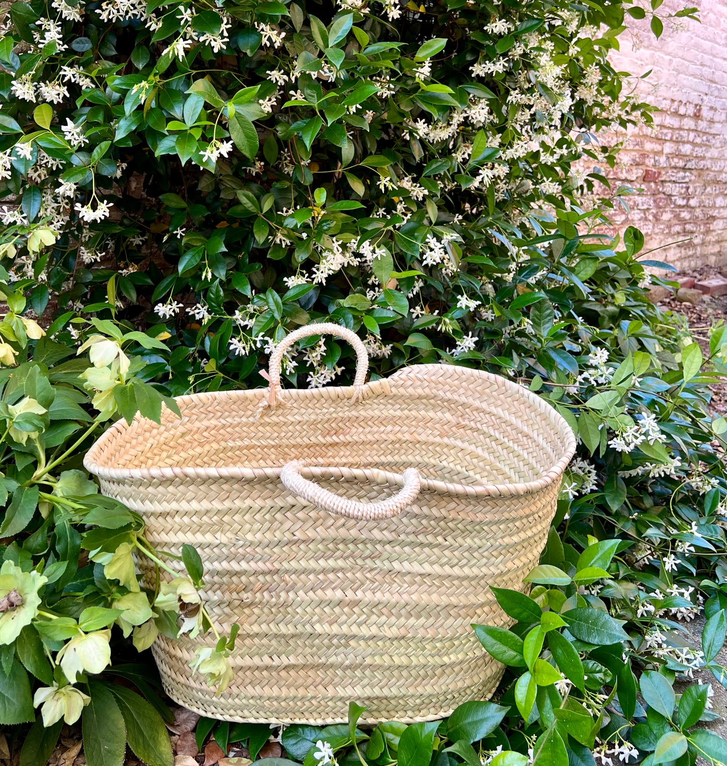 Sisal Handled Basket