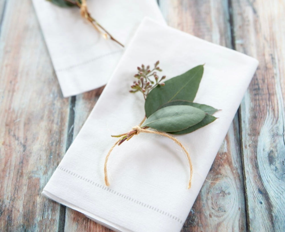 
                      
                        Our Favorite Single Use Napkins!
                      
                    