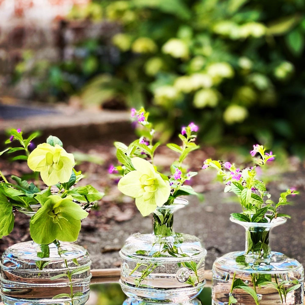 
                      
                        The perfect small glass vase!
                      
                    
