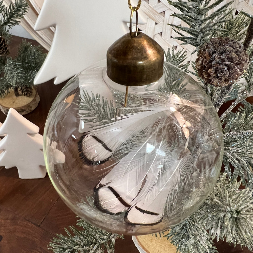 
                      
                        Glass Holiday Ornament ~ 14 styles
                      
                    