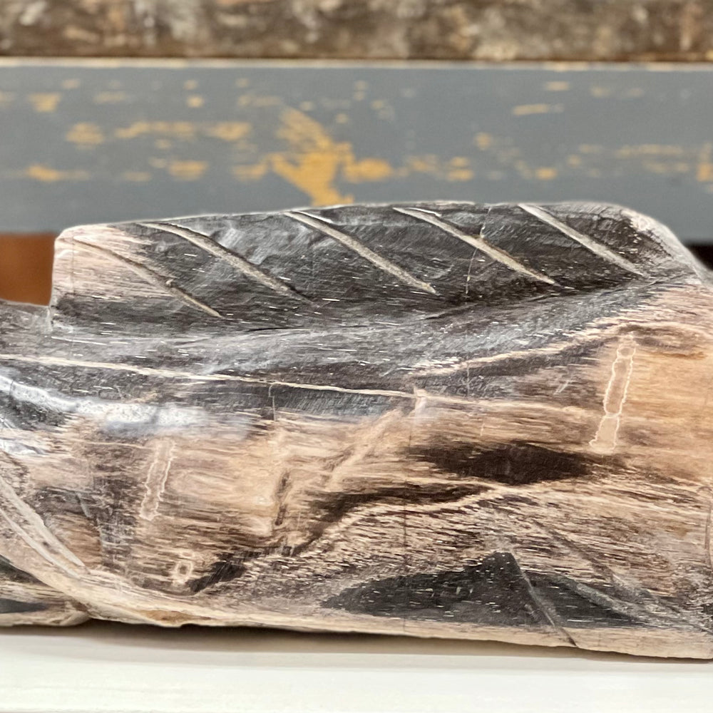 Petrified Wood Koi