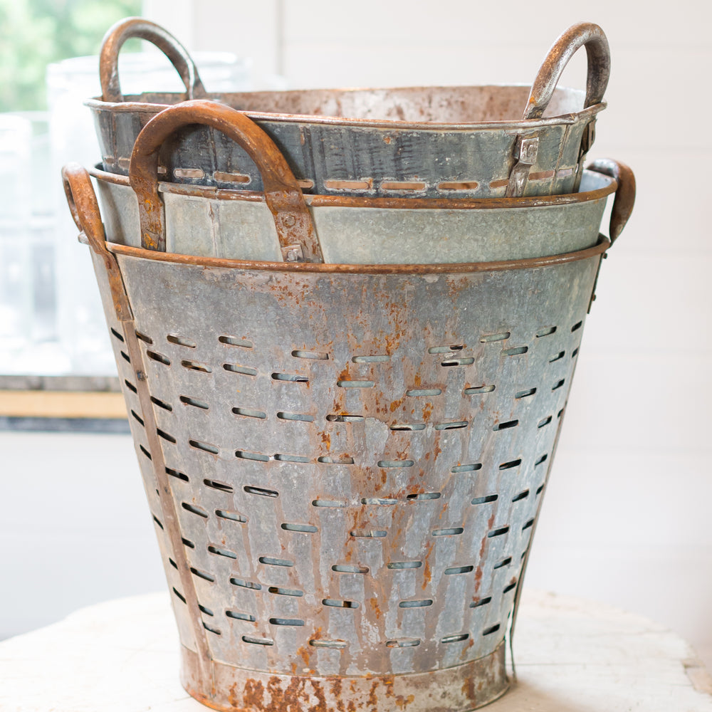 French Olive picking Pail