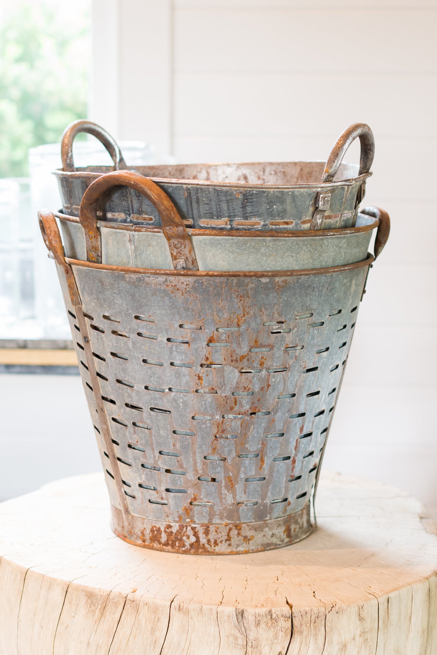 French Olive picking Pail